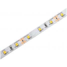 Avide LED Ταινία 12V   7.2W 6400K IP20 5m