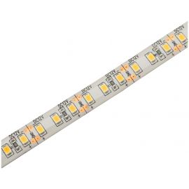 Avide LED Ταινία 12V  24W 6400K IP65 5m