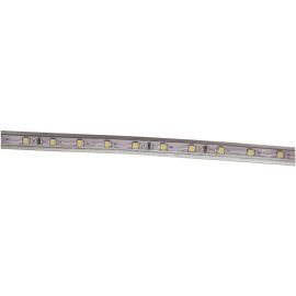 Avide LED Ταινία Blister 220V 4.8W SMD3528 60LED 4000K IP67 5m