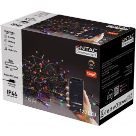 Entac Christmas IP44 120 LED Light MC 9m Tuya APP
