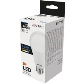 ENTAC LED 10W E27 6400K
